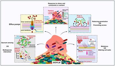 Beyond antibiotics: CRISPR/Cas9 triumph over biofilm-associated antibiotic resistance infections